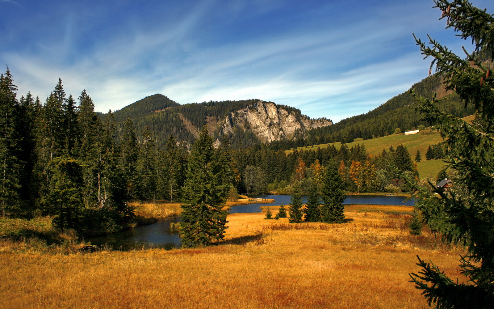 当战神离去后,福登与那场不属于他国家的战争